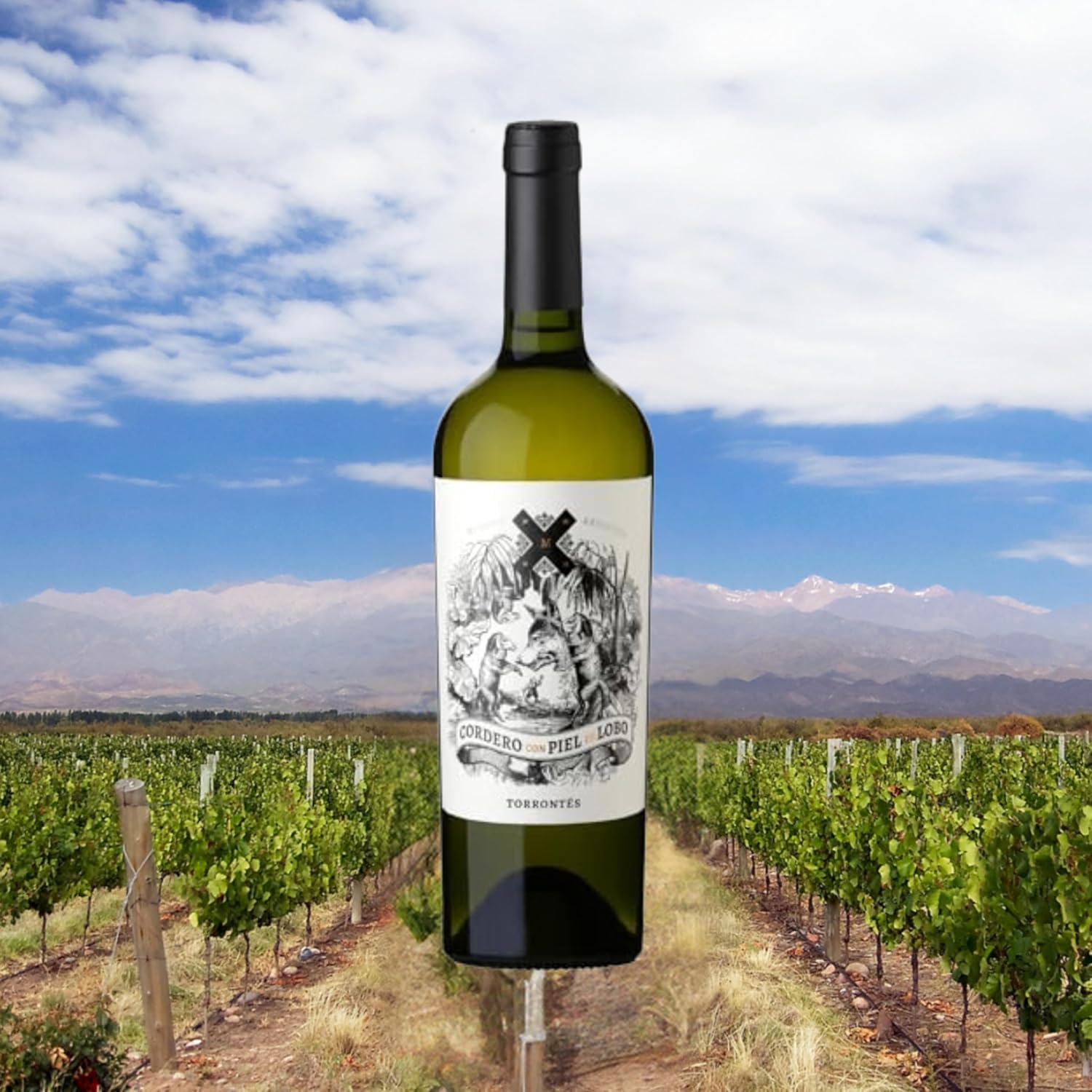 Vinho Argentino Cordero con Piel de Lobo Torrontes 750ml - Imagem 2