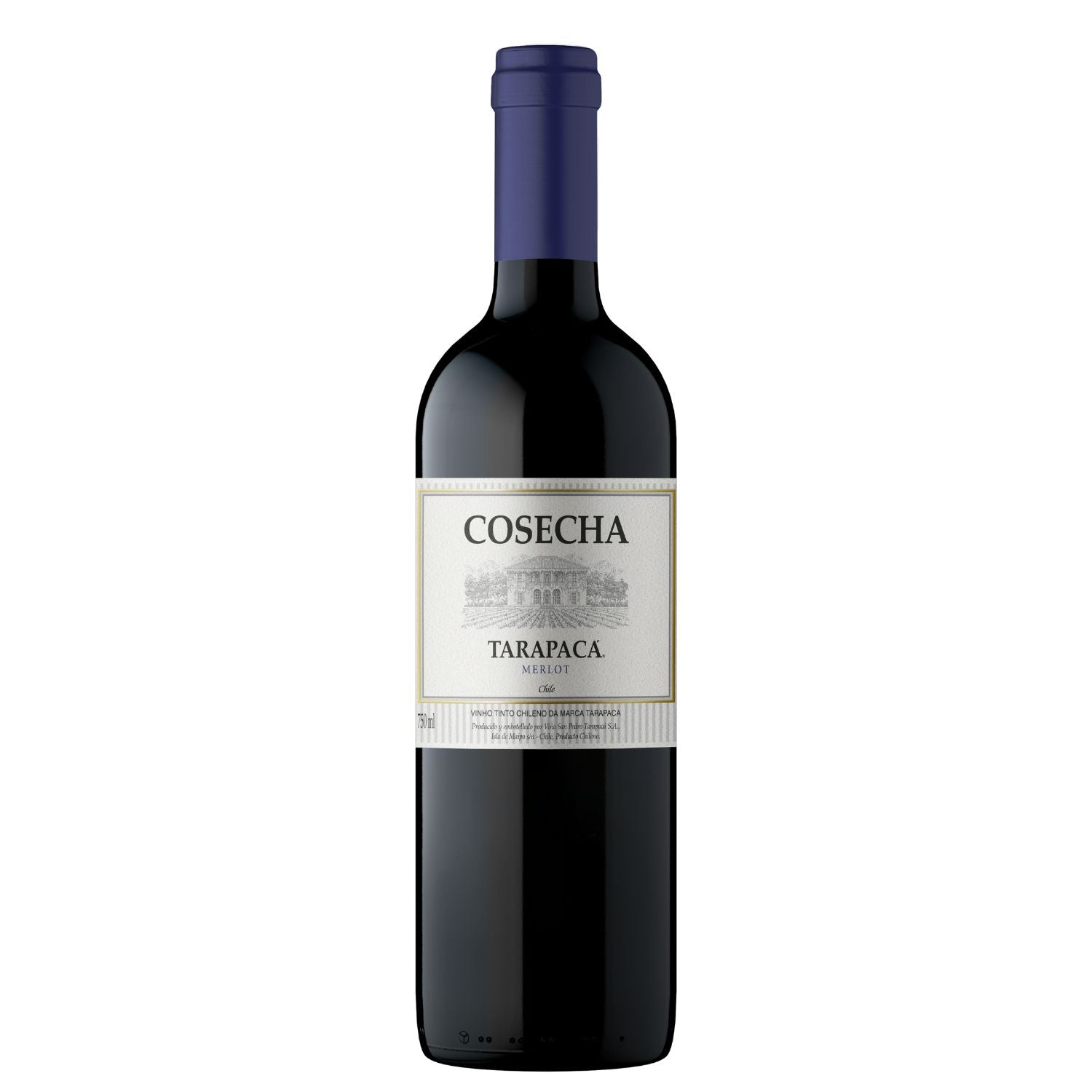 Tarapacá Cosecha Merlot
