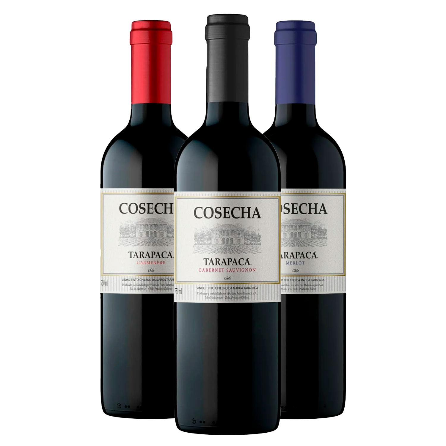 Trio Tintos Tarapacá Cosecha