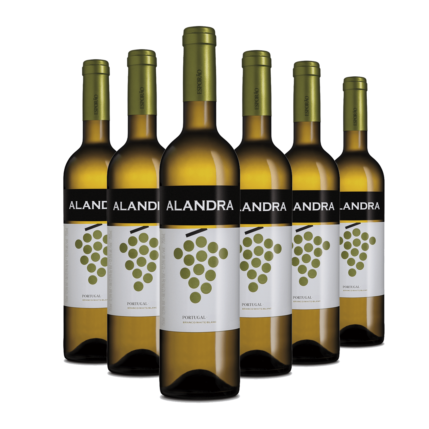 Kit 6 Alandra Branco