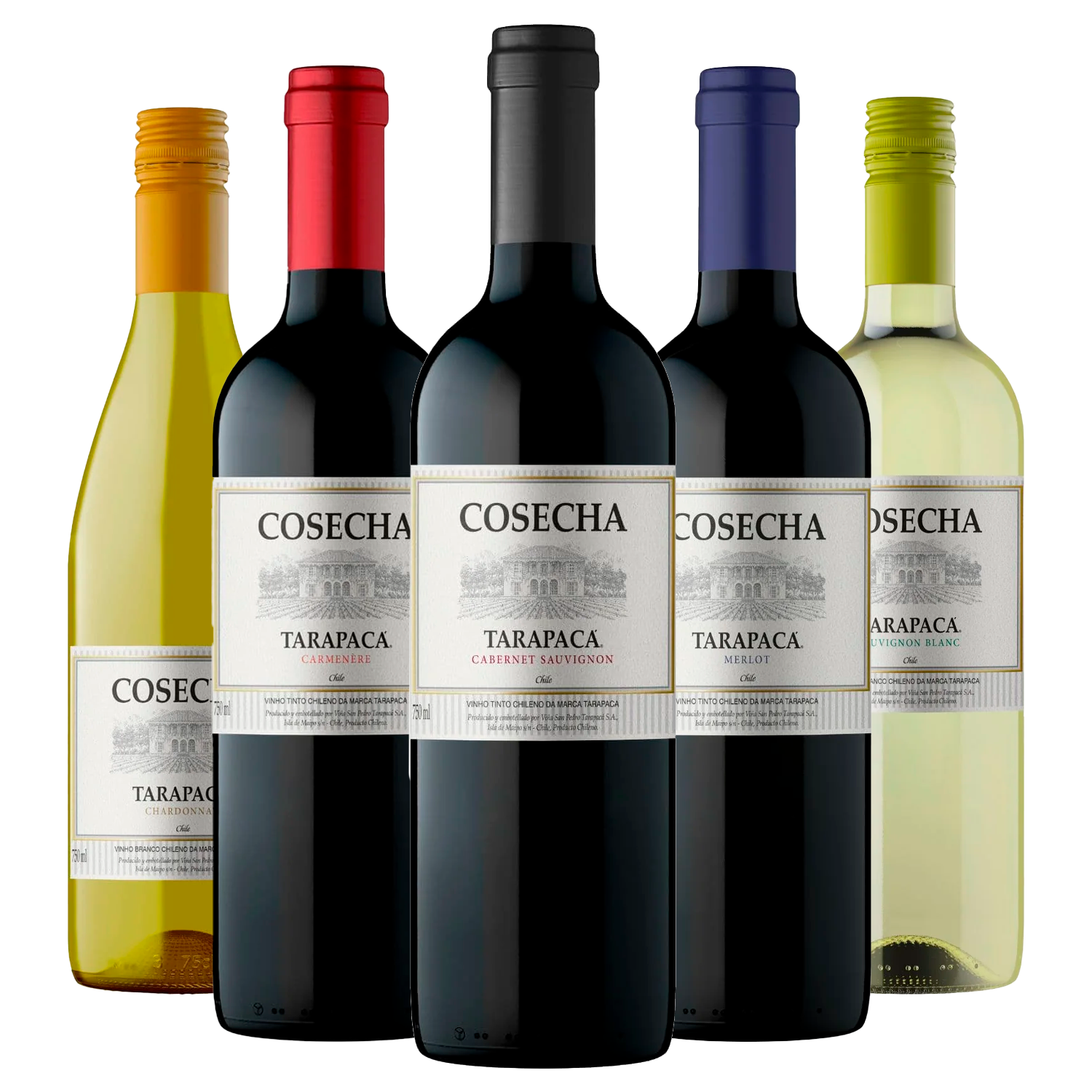 Coleção Tarapacá Cosecha