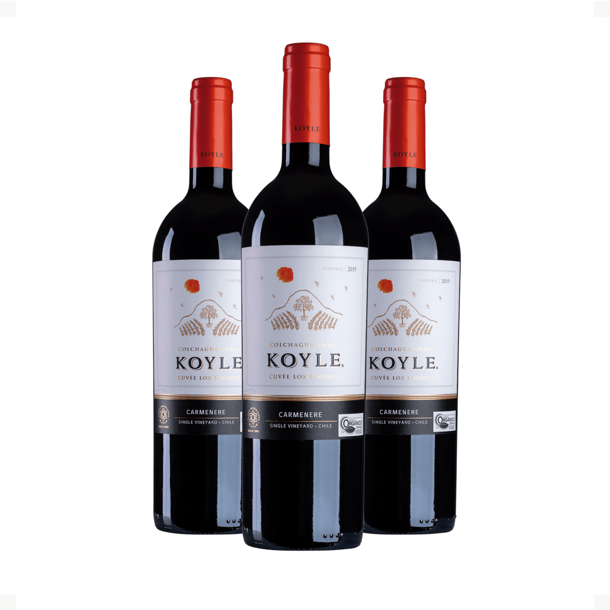 Kit 3 Koyle Cuvée Los Lingues Carménère